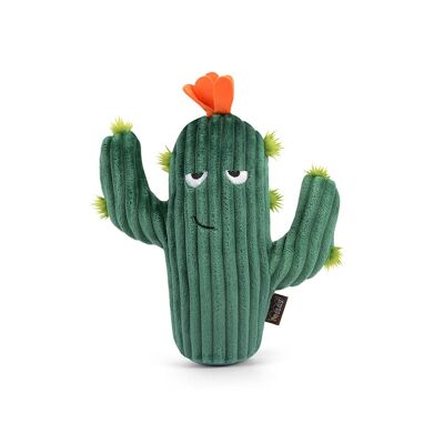Blooming Buddies Collection - Prickly Pup Cactus