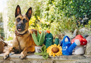 Blooming Buddies Collection - Wagging Watering Can 2