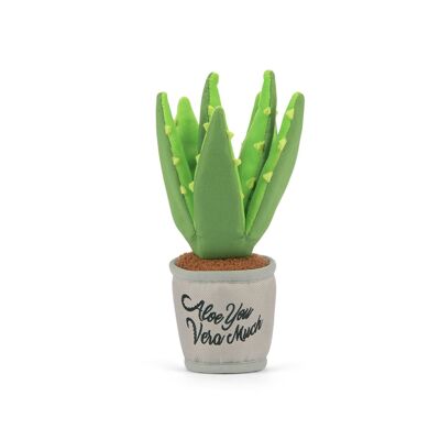 Blooming Buddies Collection - Aloe-ve You Plant