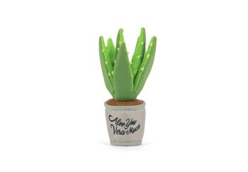 Blooming Buddies Collection - Aloe-ve You Plant 1
