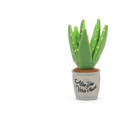 Colección Blooming Buddies - Aloe-ve You Plant
