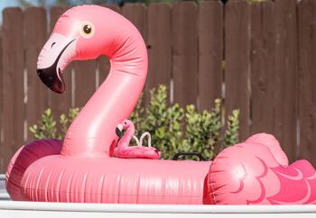 Tropical Paradise Collection - Flamingo Float 7