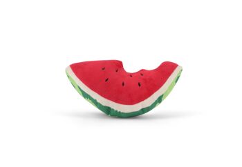 Tropical Paradise Collection - Wagging Watermelon 1