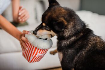 Hollywoof Cinema Collection - Poppin’ Pupcorn 4