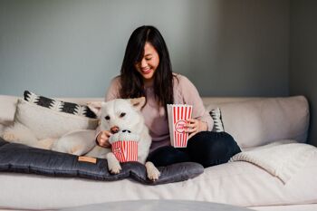 Hollywoof Cinema Collection - Poppin’ Pupcorn 6