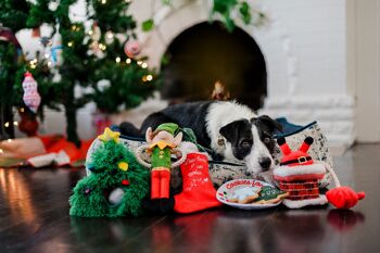 Merry Woofmas Collection - Clumsy Claus 2
