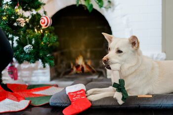 Merry Woofmas Collection - Clumsy Claus 10