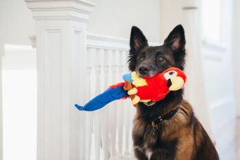 Fetching Flock Collection - Tito the Toucan 10
