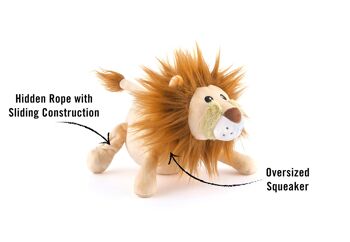Safari Collection eonard the Lion 4