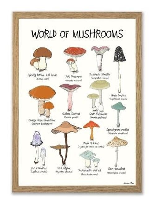 World of Mushrooms A3 poster