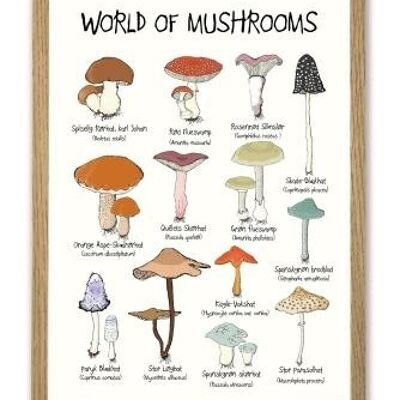 World of Mushrooms A3 poster