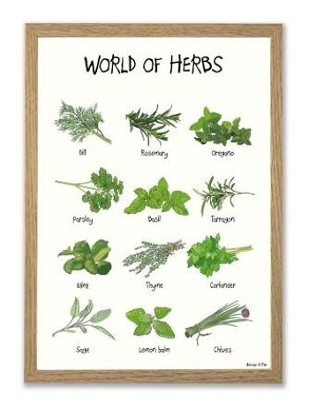 Affiches A4 du monde des herbes 3