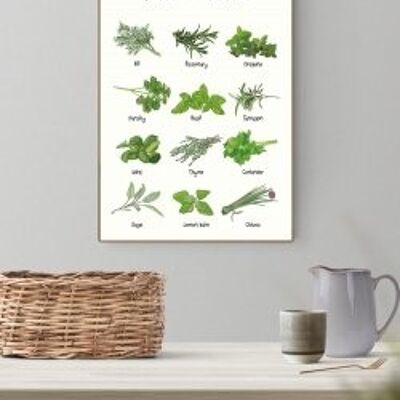 World of Herbs A3 poster