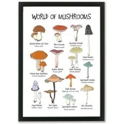 World of Mushrooms A4 poster