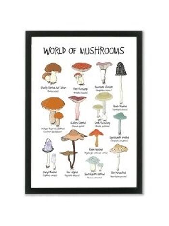 Affiches A4 du monde des champignons 1