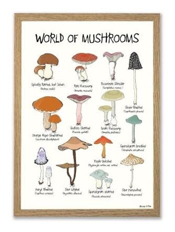 Affiches A4 du monde des champignons 2