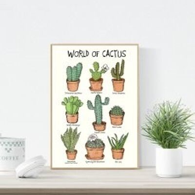 Poster A4 del mondo dei cactus