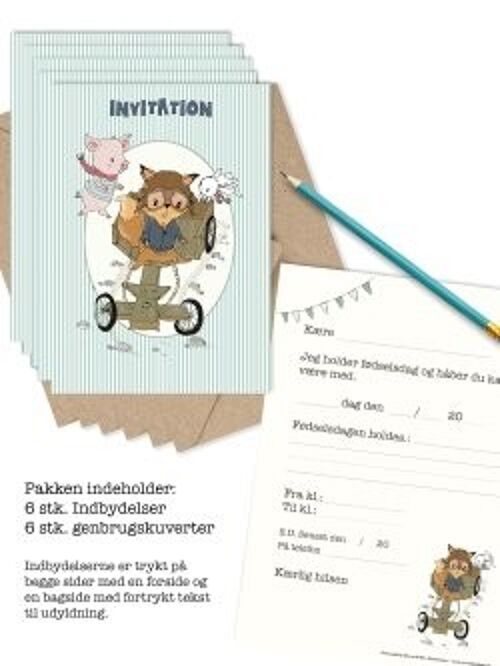 Birthday Boys will be boys invitations 6 pcs.