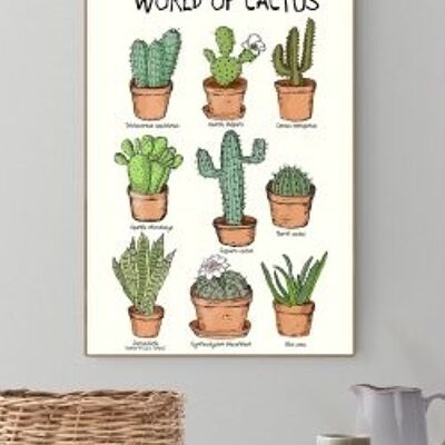 Poster A3 del mondo dei cactus