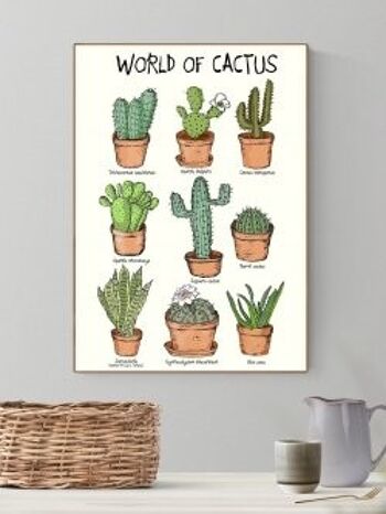 Affiches A3 Le monde des cactus 1