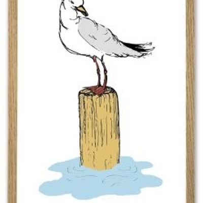 Seagull A4 poster