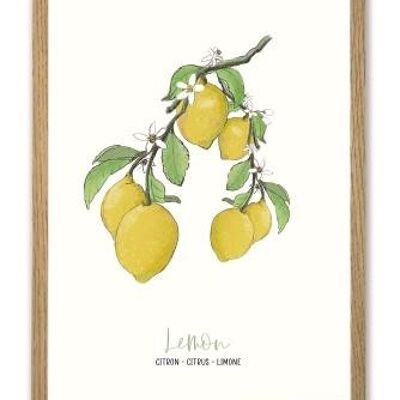 Lemon A4 poster
