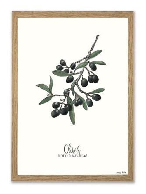 Olive A3 poster