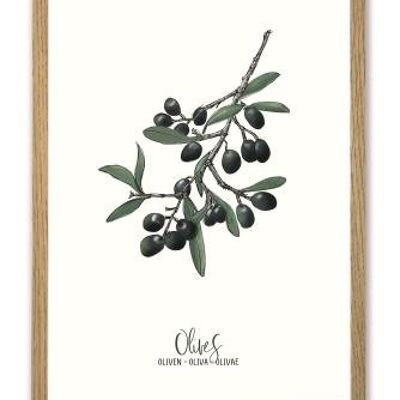 Olive A3 poster