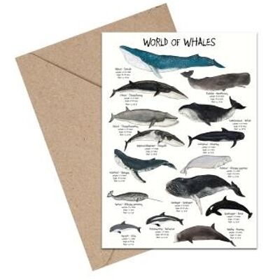 Carta A6 del Mondo delle Balene