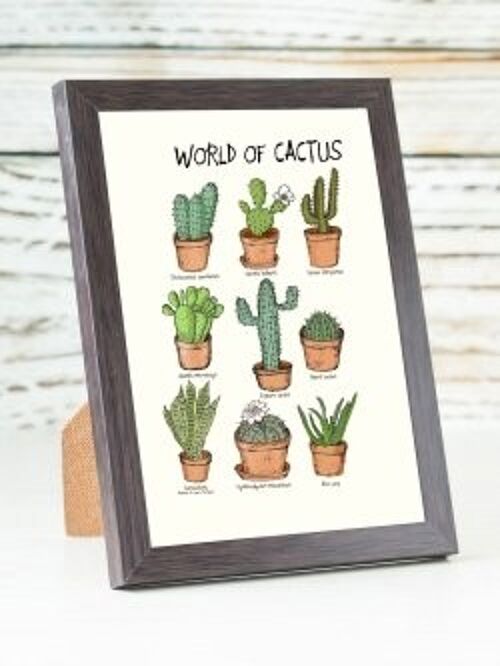 World of Cactus A6 card