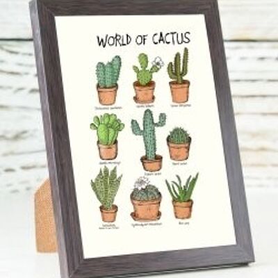 Carta A6 del mondo dei cactus