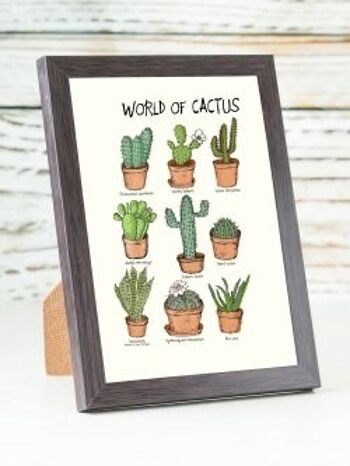 Carte A6 Monde de Cactus 1