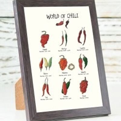 World of Chili A6 card