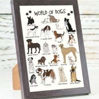 Carte A6 du monde des chiens