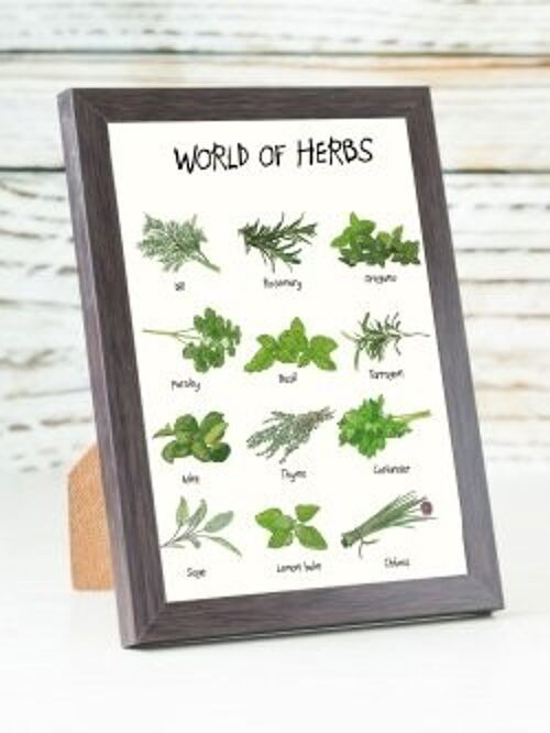 World of Herbs A6 card