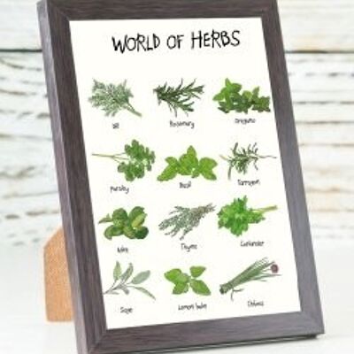 World of Herbs A6 card