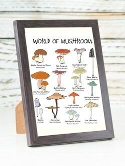 World of Mushrooms A6 card