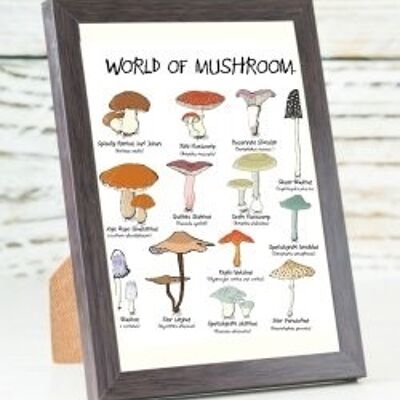 Carte A6 du monde des champignons