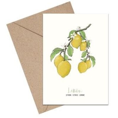Lemon A6 card