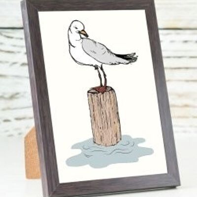 Seagull A6 card