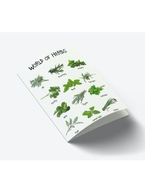 World of Herbs A7 card