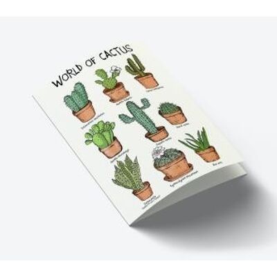 World of Cactus A7-Karte