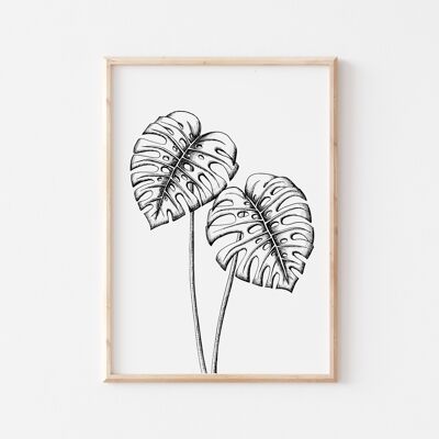 Black and White Monstera Print A4