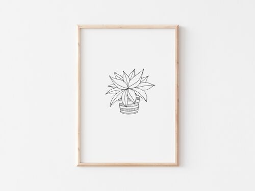 Black and White Succulent Print A4
