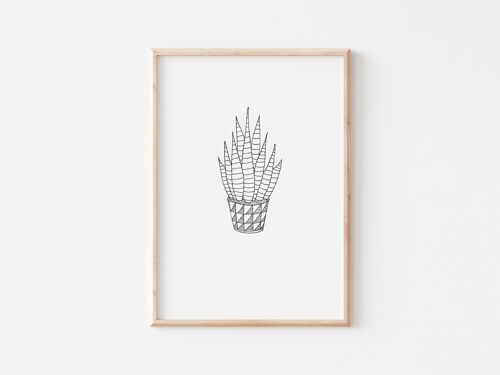 Black and White Stripey Succulent Print A4