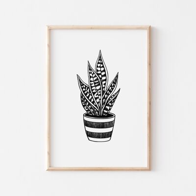 Impresión de planta de serpiente en blanco y negro A4