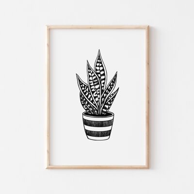 Black and White Snakeplant Print A4