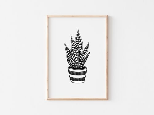 Black and White Snakeplant Print A5