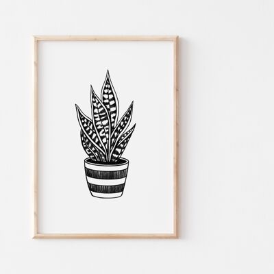 Black and White Snakeplant Print A5