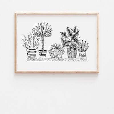 Schwarz-weißer Zimmerpflanzen-Regaldruck A4